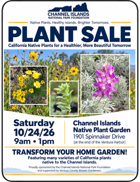 Channel Islands Native Plant Sale